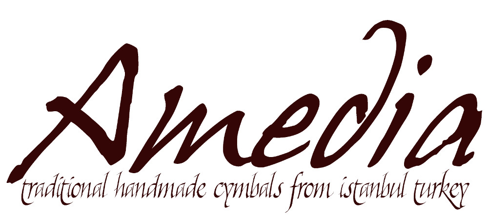 amedia-logo1000